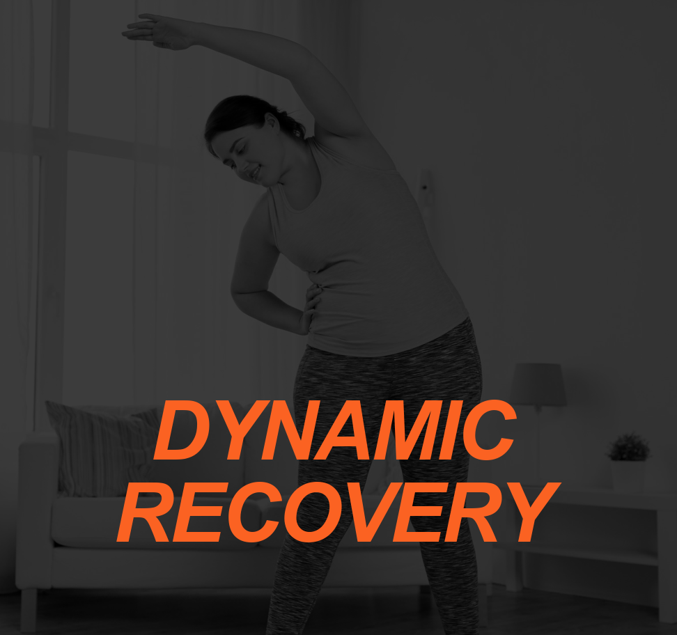DYNAMIC RECOVERY IMAGE