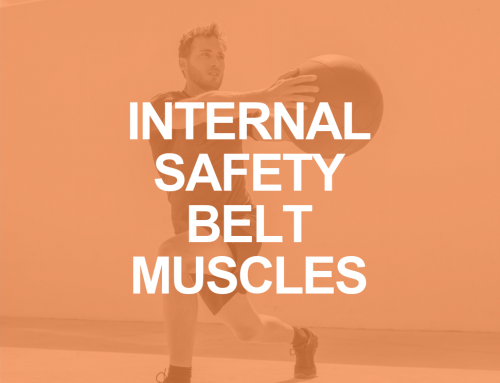 TVA and IO Muscles: The Internal Safety Belt